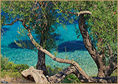 Die Natur in Griechenland